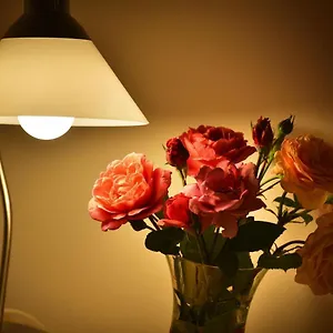 Old Town Tyn Apartment